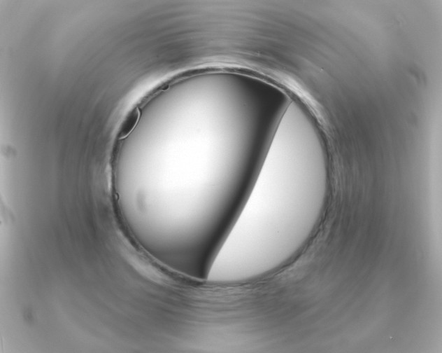 X0000091371372200708101107