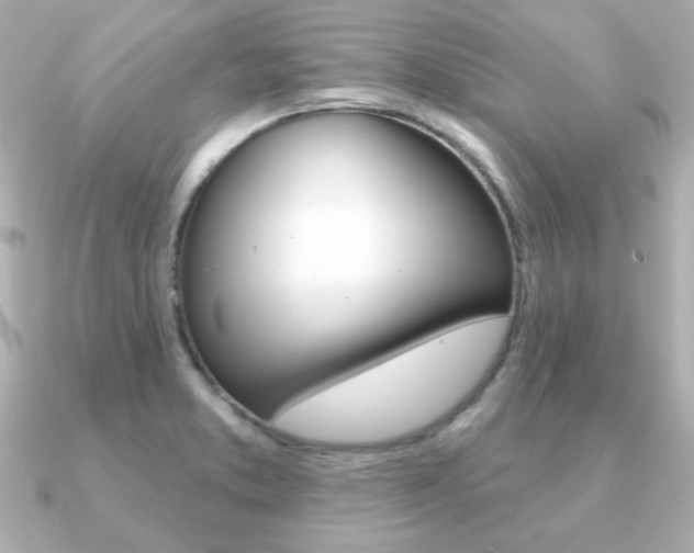 X0000091371373200708101107