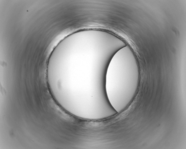 X0000091371374200708101107