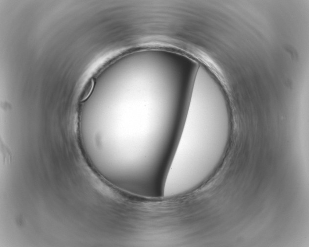 X0000091371376200708101107