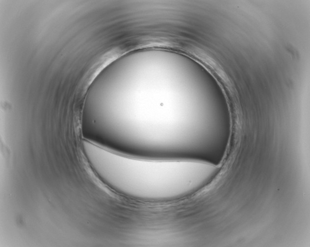 X0000091371377200708101107