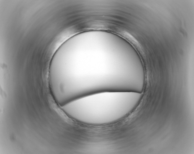 X0000091371378200708101107