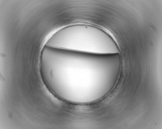 X0000091371379200708101107
