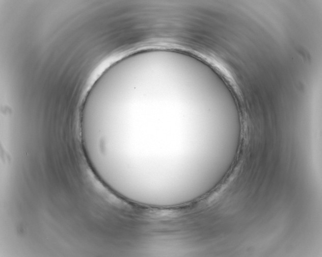X0000091371382200708101107
