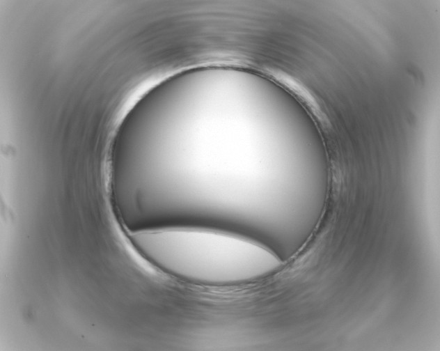 X0000091371383200708101107