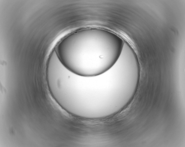 X0000091371384200708101107