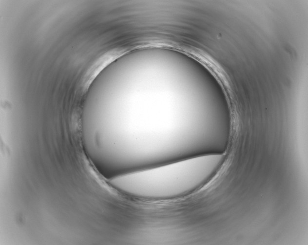 X0000091371385200708101107