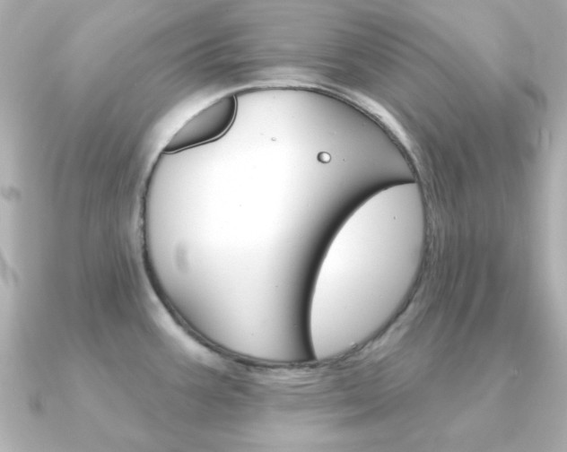 X0000091371387200708101107