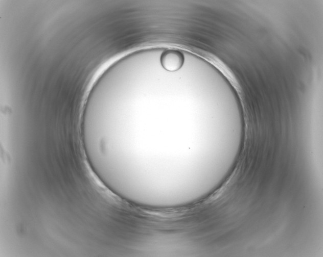 X0000091371388200708101107