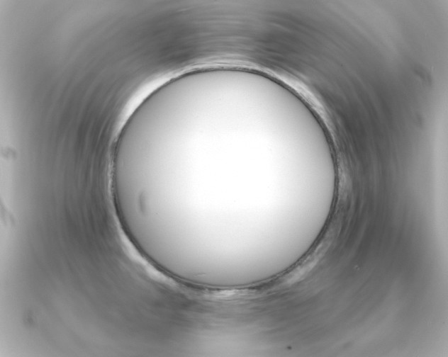 X0000091371390200708101107