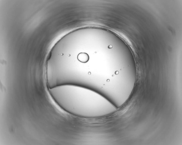 X0000091371391200708101107