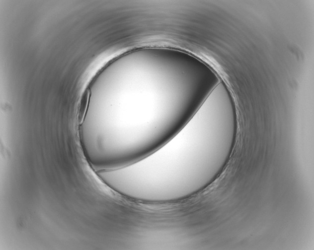 X0000091371392200708101107