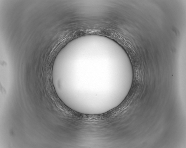 X0000091371393200708101106