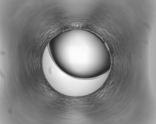 X0000091371394200708101106
