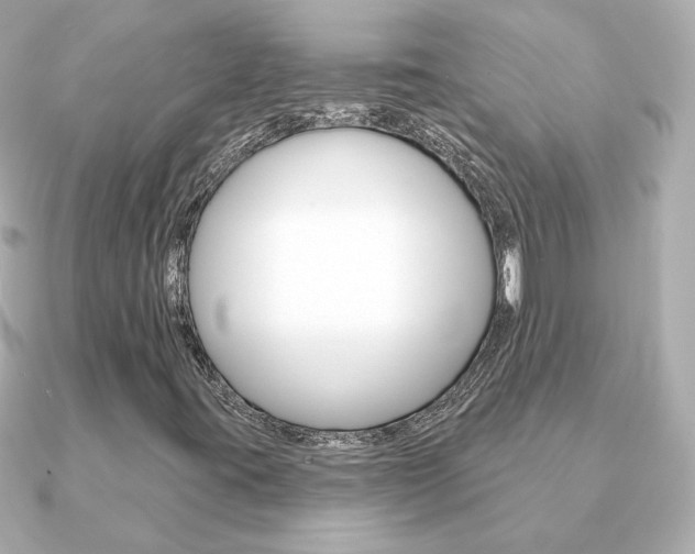 X0000091371395200708101106
