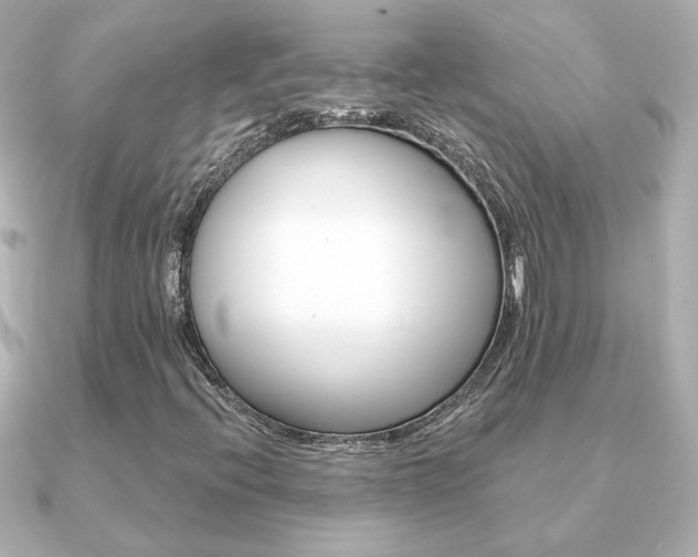 X0000091371396200708101106