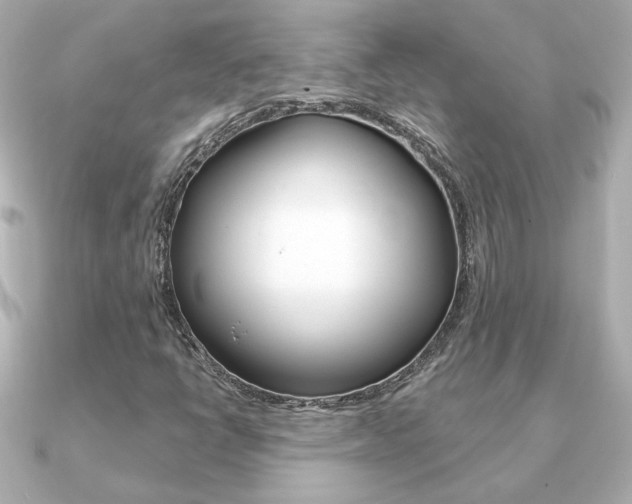 X0000091371398200708101106