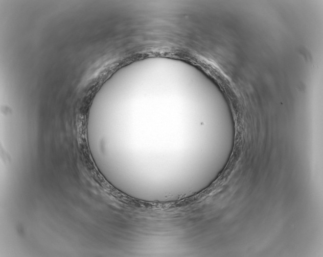 X0000091371399200708101106