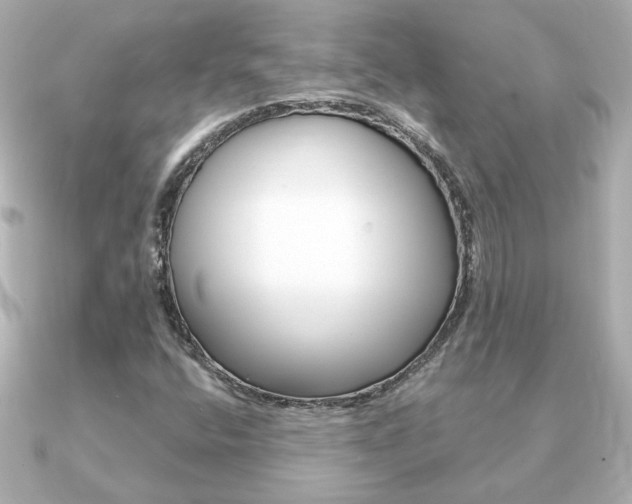 X0000091371400200708101106