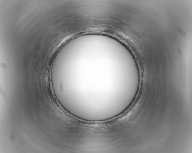 X0000091371401200708101106