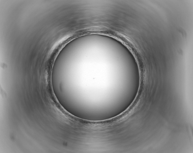 X0000091371402200708101106
