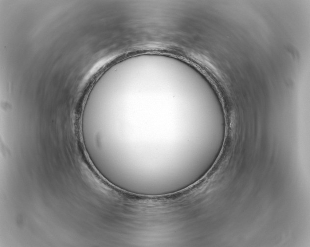 X0000091371404200708101106