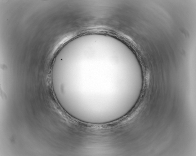 X0000091371405200708101106