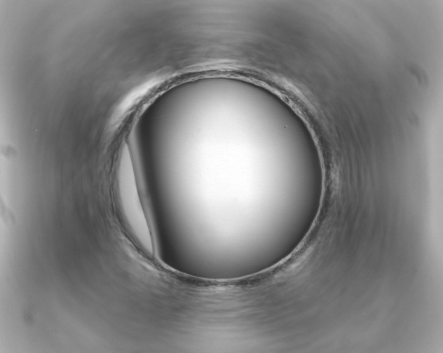X0000091371406200708101106