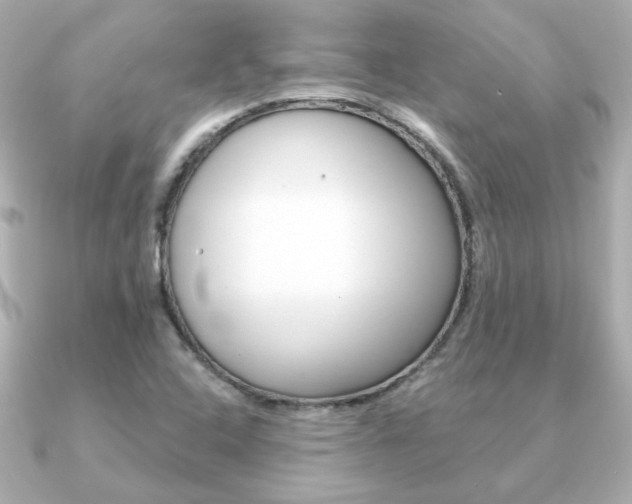 X0000091371408200708101106