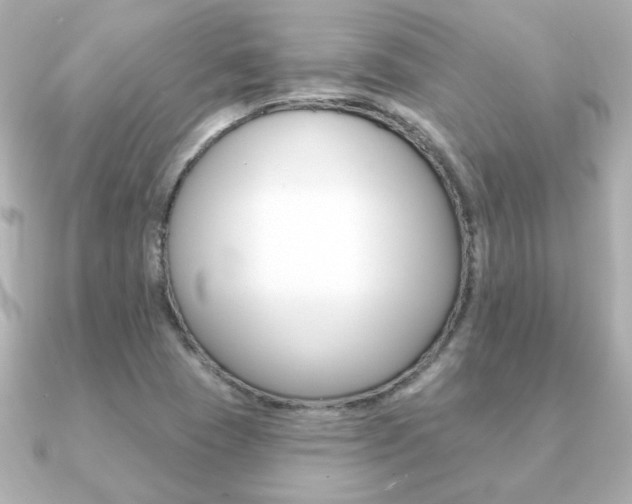 X0000091371409200708101106