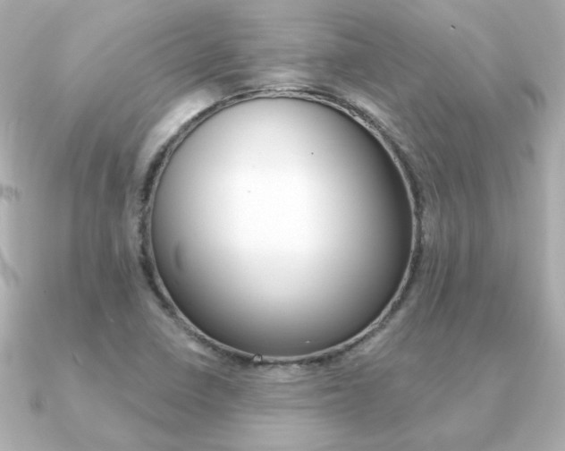 X0000091371410200708101106