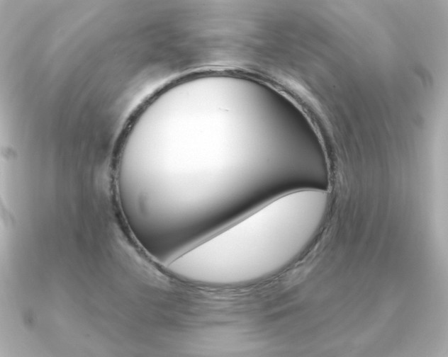 X0000091371412200708101106