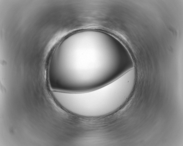 X0000091371414200708101106