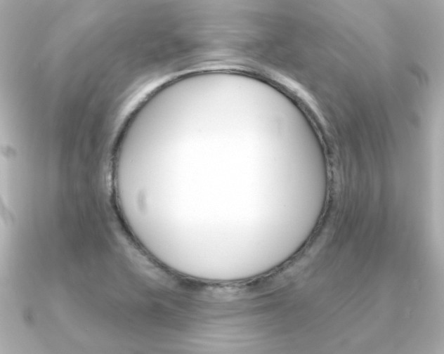 X0000091371415200708101106
