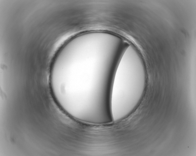 X0000091371416200708101106