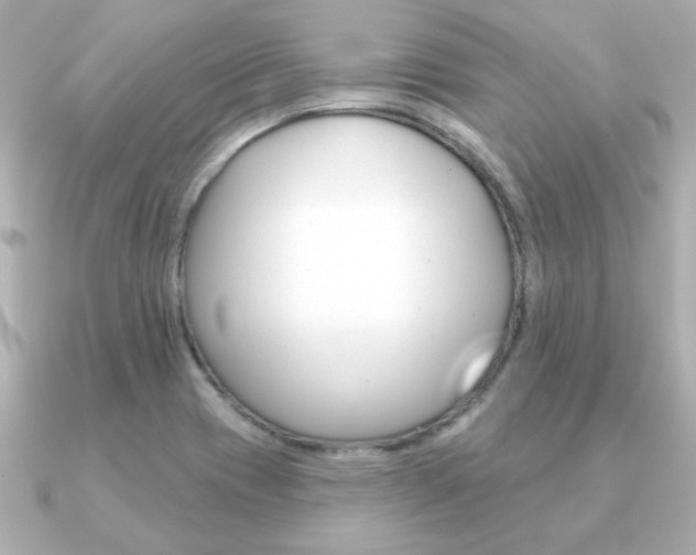 X0000091371417200708101106
