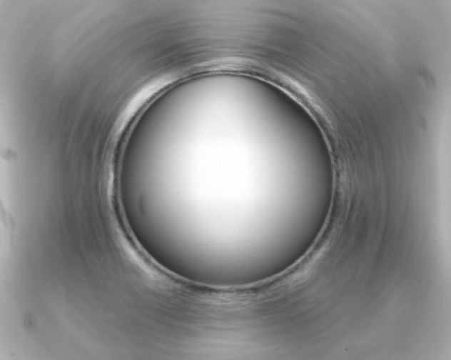 X0000091371418200708101106