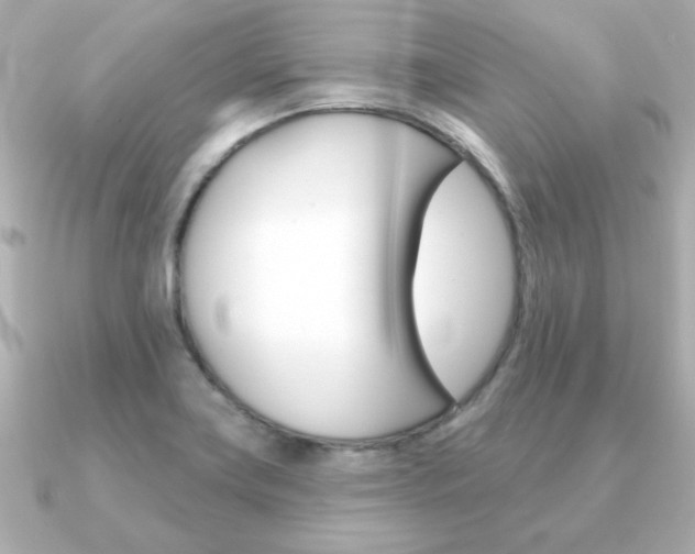 X0000091371419200708101106