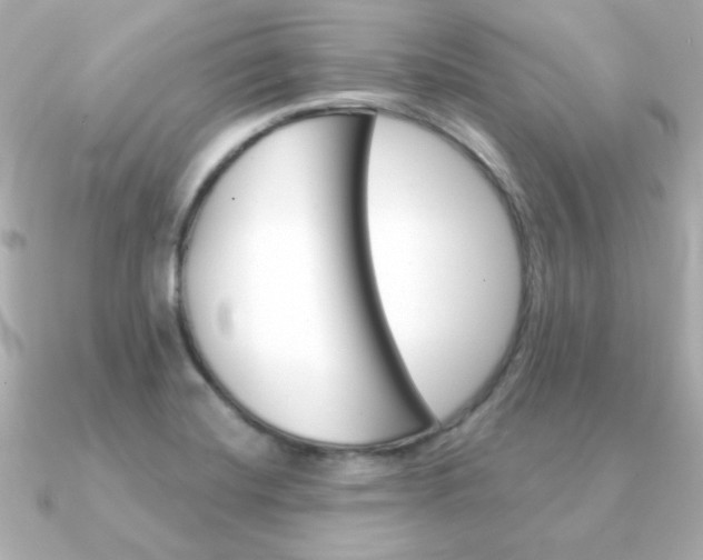 X0000091371420200708101106