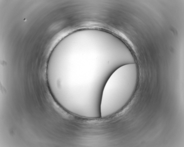 X0000091371421200708101106