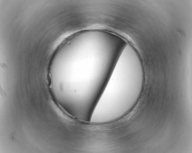 X0000091371422200708101106