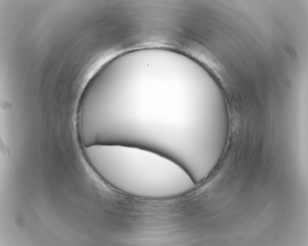 X0000091371423200708101106