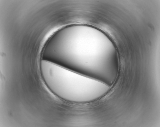 X0000091371424200708101106