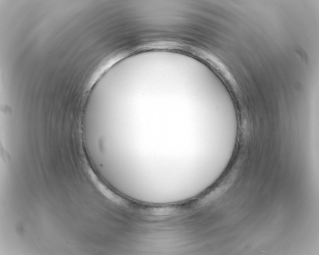 X0000091371425200708101106