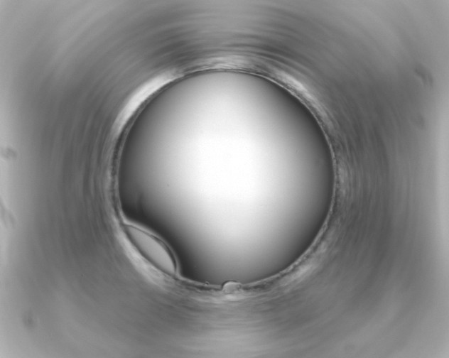 X0000091371426200708101106