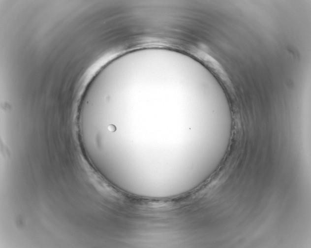 X0000091371427200708101106