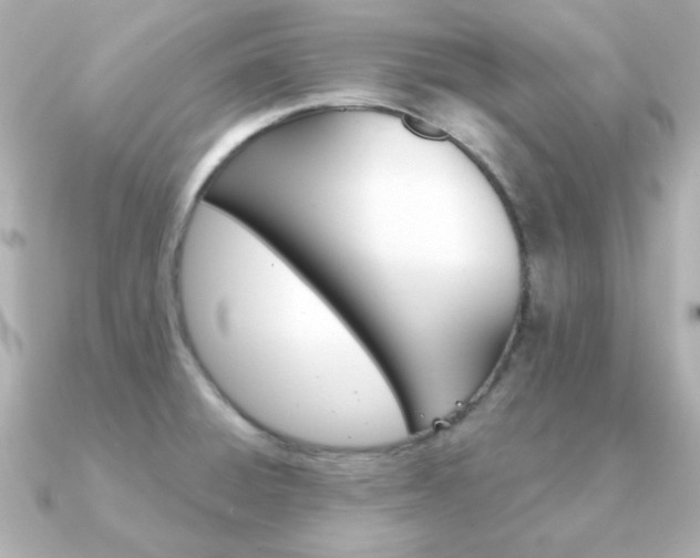 X0000091371428200708101106