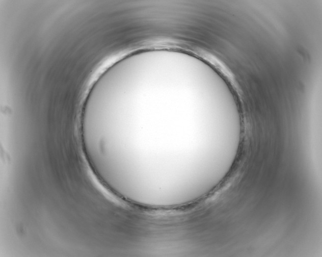 X0000091371429200708101107