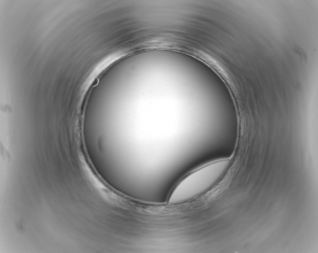X0000091371434200708101107