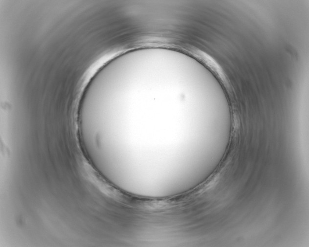 X0000091371435200708101107